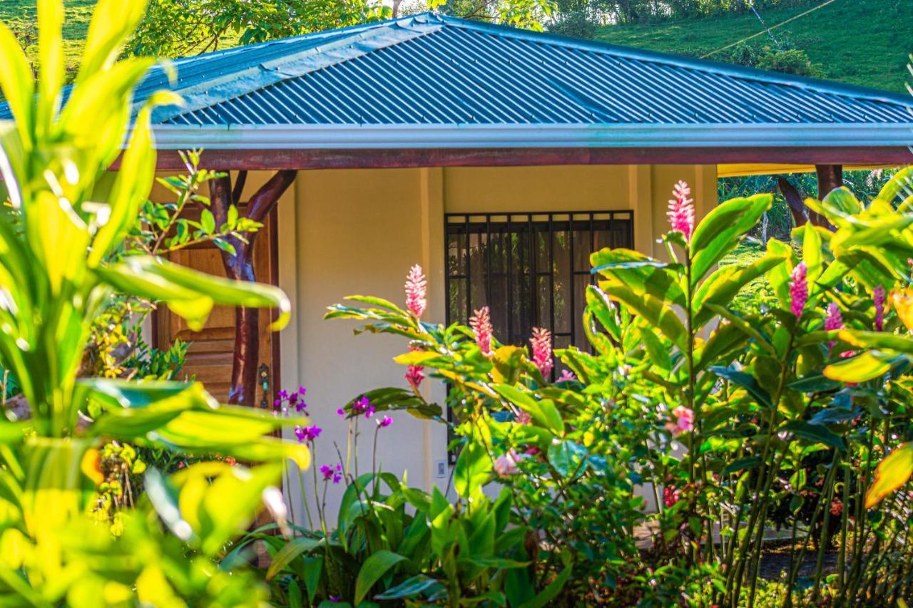 Rio Celeste Springs Blue Lodge Bijagua Exterior foto