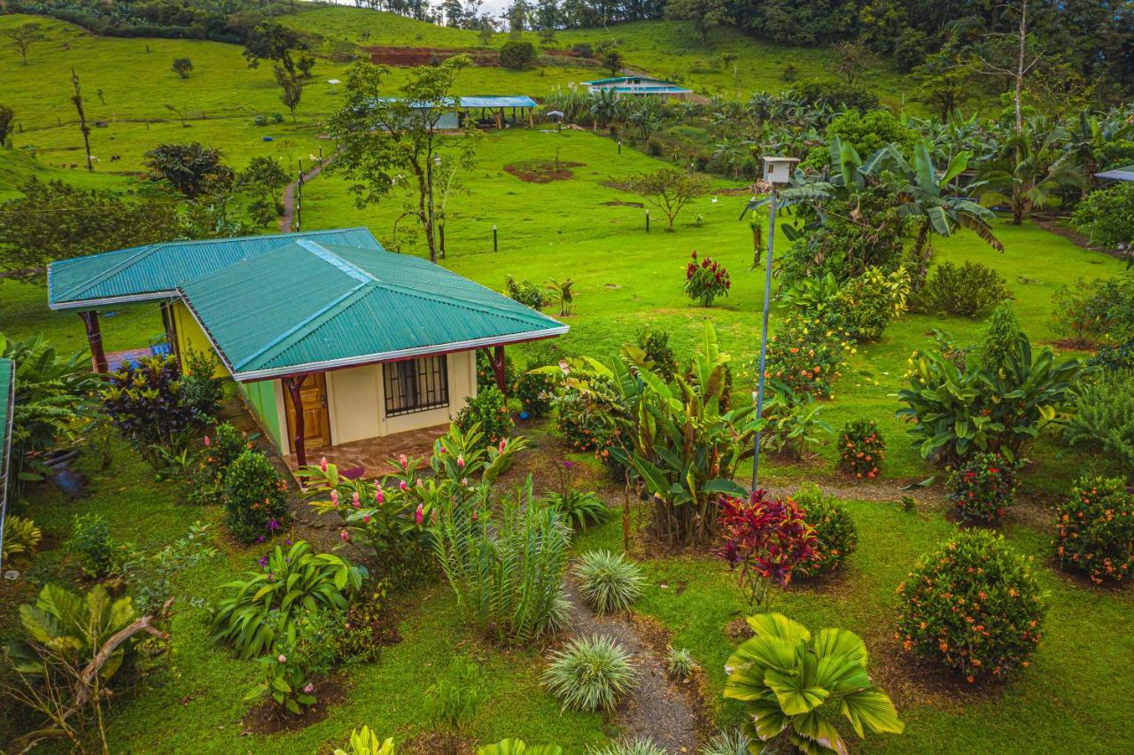 Rio Celeste Springs Blue Lodge Bijagua Habitación foto
